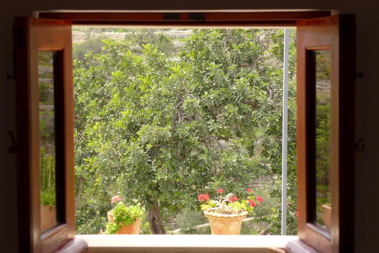 La Suma Sumalia Bed & Breakfast โนโต ภายนอก รูปภาพ